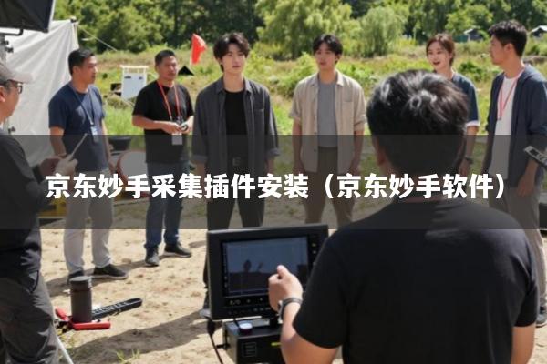 京东妙手采集插件安装(京东妙手软件)