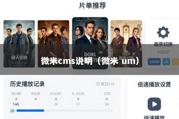 微米cms说明(微米 um)
